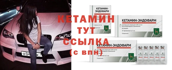 трава Тайга