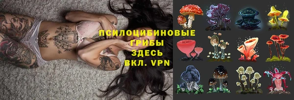 трава Тайга