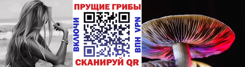 Галлюциногенные грибы Cubensis Медногорск