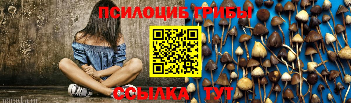 Галлюциногенные грибы MAGIC MUSHROOMS  Вход с VPN  Медногорск 