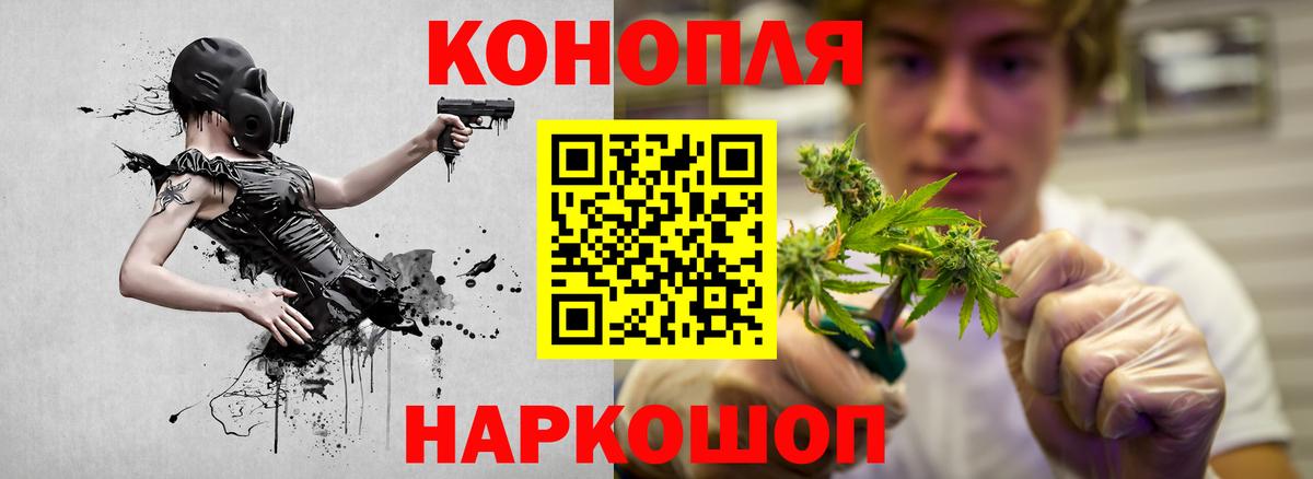 Каннабис сатива Медногорск